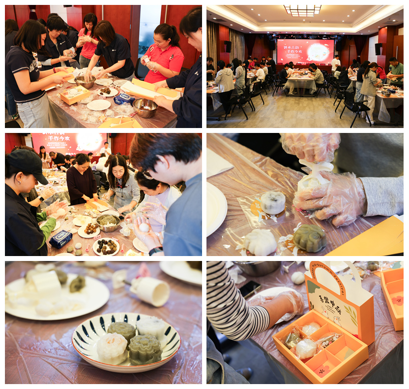 suncitygroup̫�����š�(�й�)��ҳ��¼